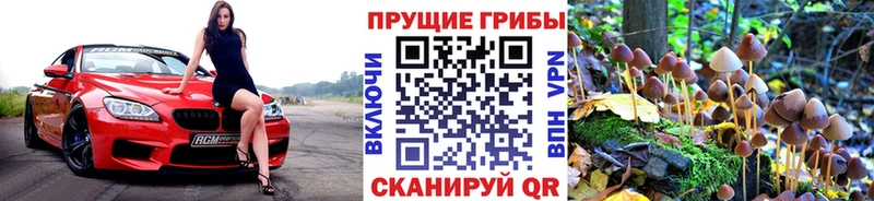 Псилоцибиновые грибы MAGIC MUSHROOMS  Шилка 